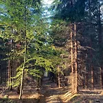Koryska *